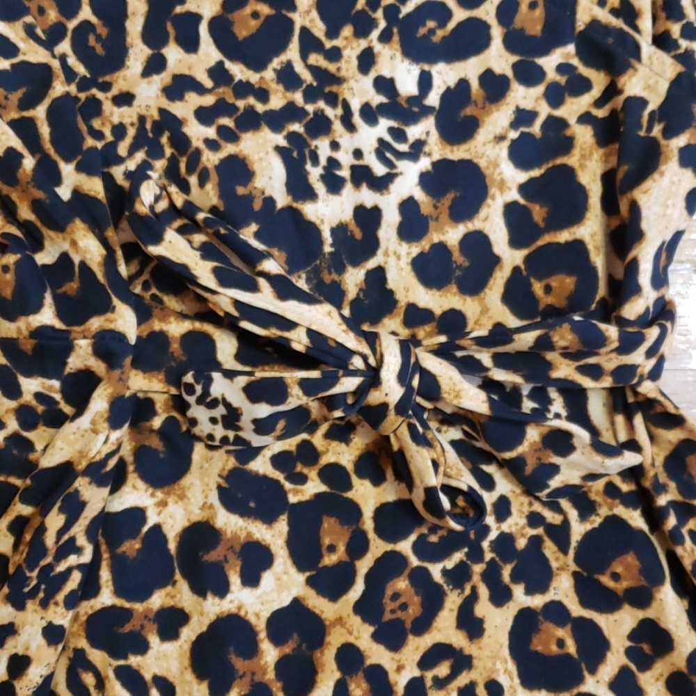 Leopard Pattern Dress - Picture 3 of 4
